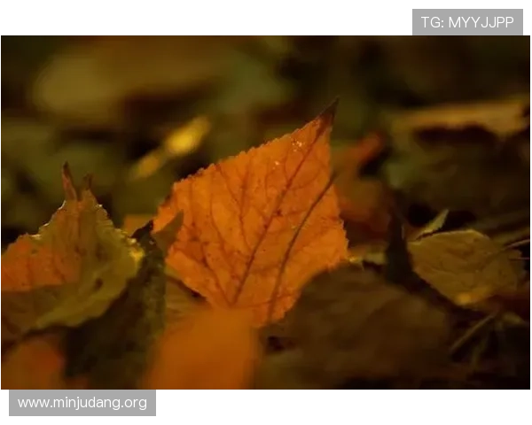 如何准确查询ca8876的到达时间,确保你的包裹按时到达