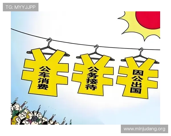 三公经费是哪三公详细介绍及其在政府财务中的具体应用分析
